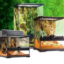 Terrarium