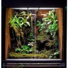 Terrarium