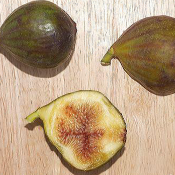 Violette normande