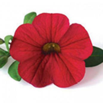Superbells Red Devil Pw®