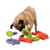 Jouet et sports pour chien