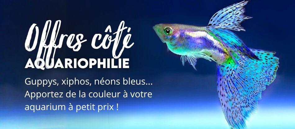 Jardinerie pépinière animalerie en ligne