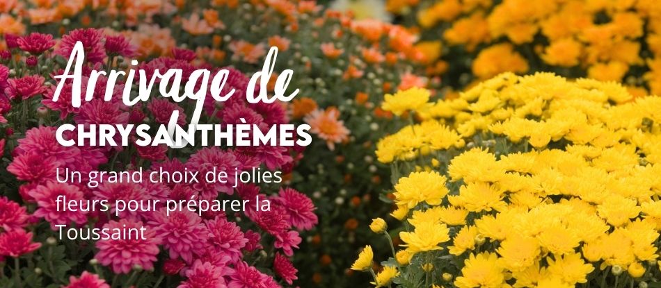 Jardinerie pépinière animalerie en ligne