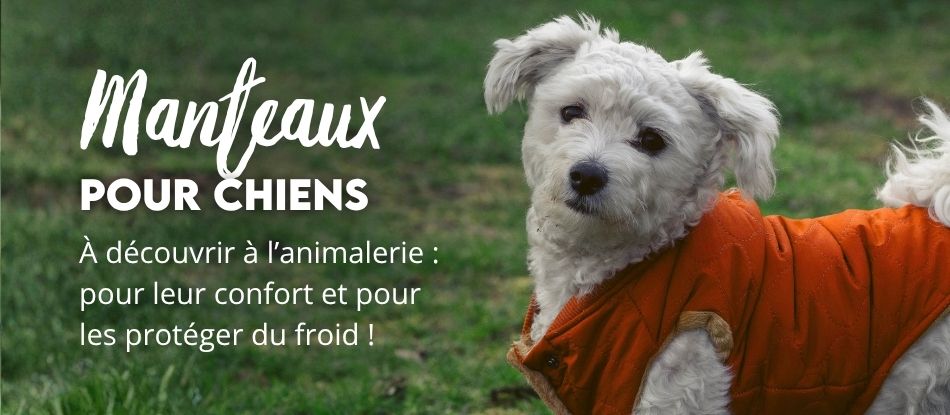 Jardinerie pépinière animalerie en ligne
