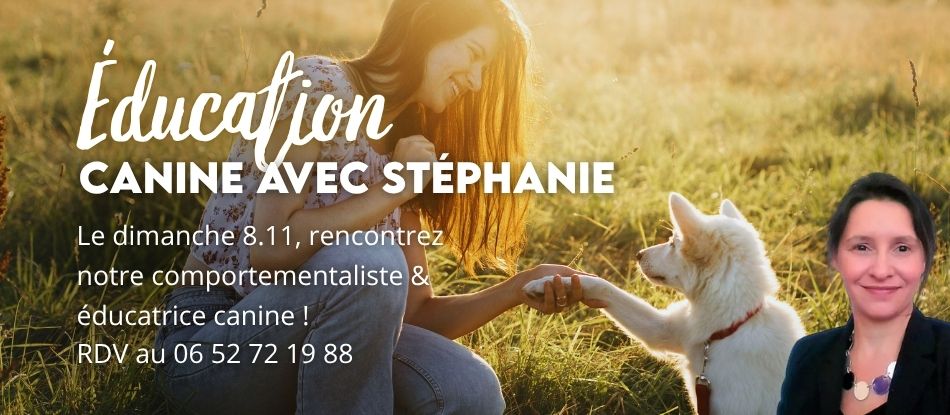 Jardinerie pépinière animalerie en ligne