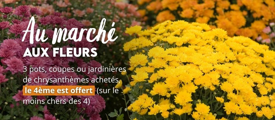 Jardinerie pépinière animalerie en ligne