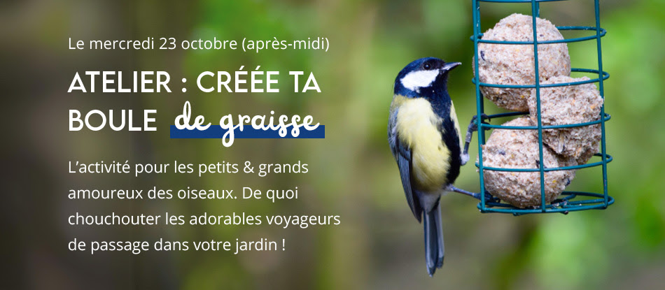 Boule de graisse
