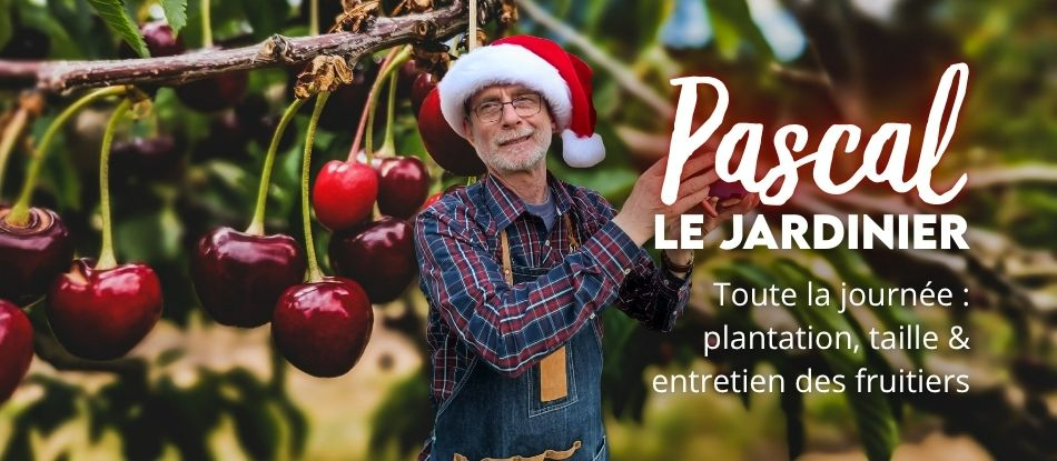 Noël