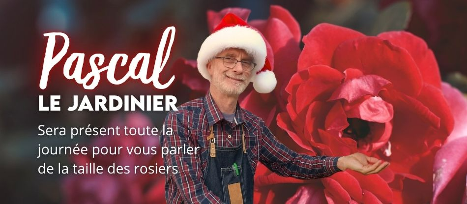 Noël