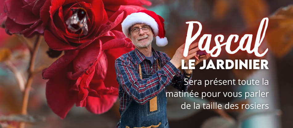 Noël