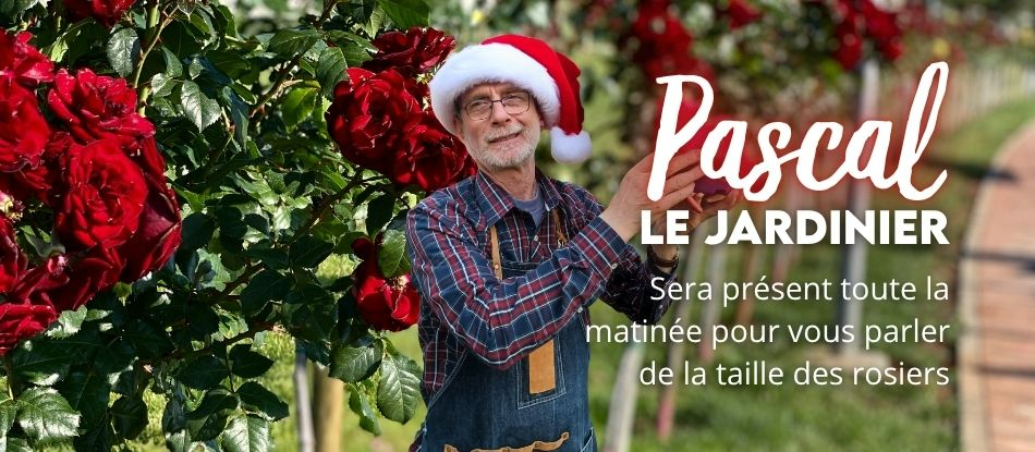 Noël